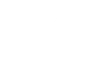 Blank white image with no discernible content or features.