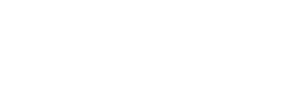 Logo for Toyo Parts: bold 'TOYO PARTS' with the tagline 'BEST PARTS TOYOTA' and decorative horizontal lines.