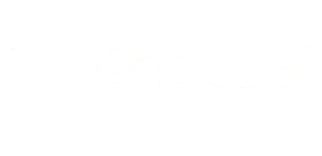 TOYO PARTS