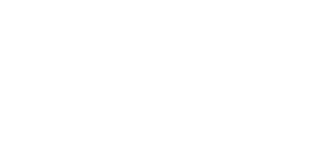 Lenwit Fornir